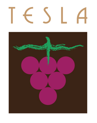 TESLALOGO4